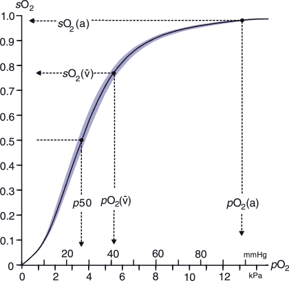 Saturation du sang veineux en oxygene